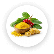 Berberine HCl Ingredient